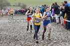 Girls under-13s 2018 British Inter Counties Cross Country Champs., Prestwold Hall, Loughborough. Photo: David T. Hewitson/Sports for All Pics
